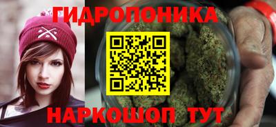 прущий лед Канаш