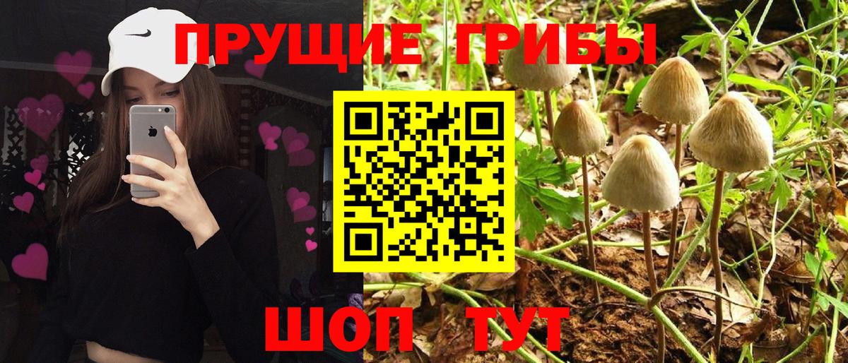 Лсд 25  Вход с VPN  Экстази  Мефедрон кристаллы  МЕТ  Кузнецк  Бошки Шишки  КОКАИН  ГАШИШ 
