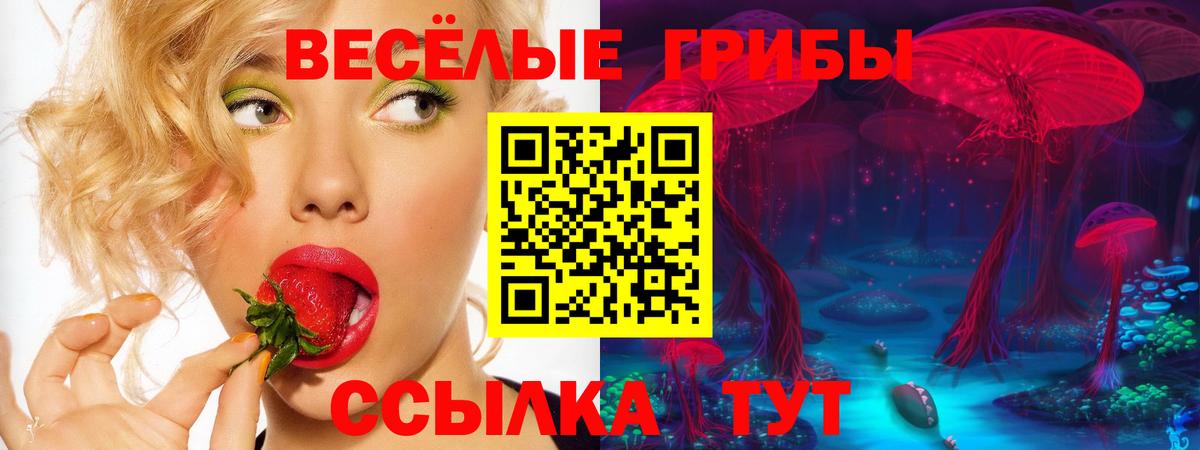Кузнецк  Галлюциногенные грибы прущие грибы  Вход с VPN 