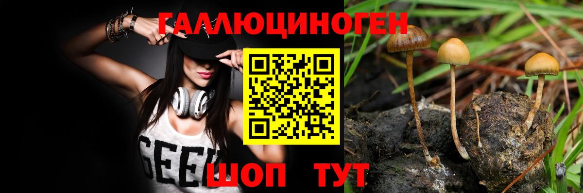 Псилоцибиновые грибы Psilocybe Кузнецк